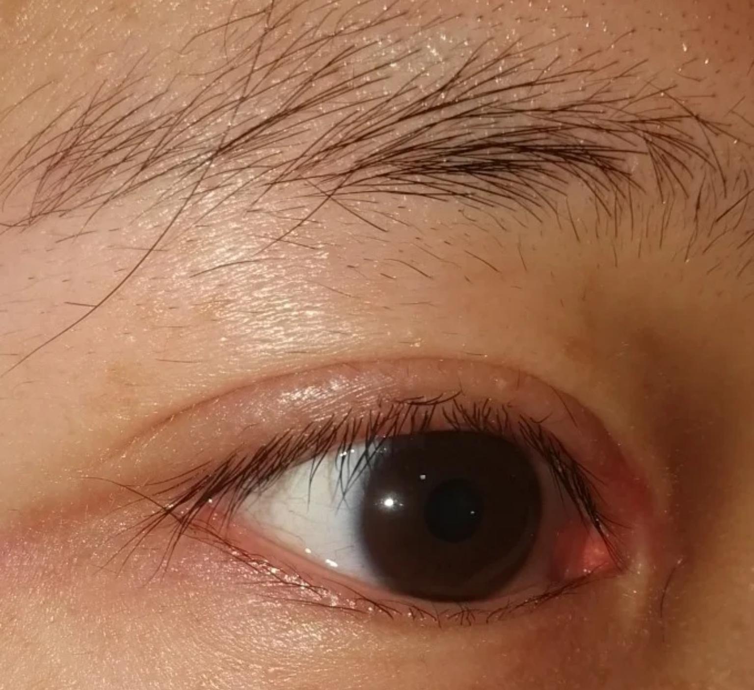普洱知识 第114页