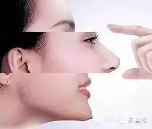 绿茶知识 第109页