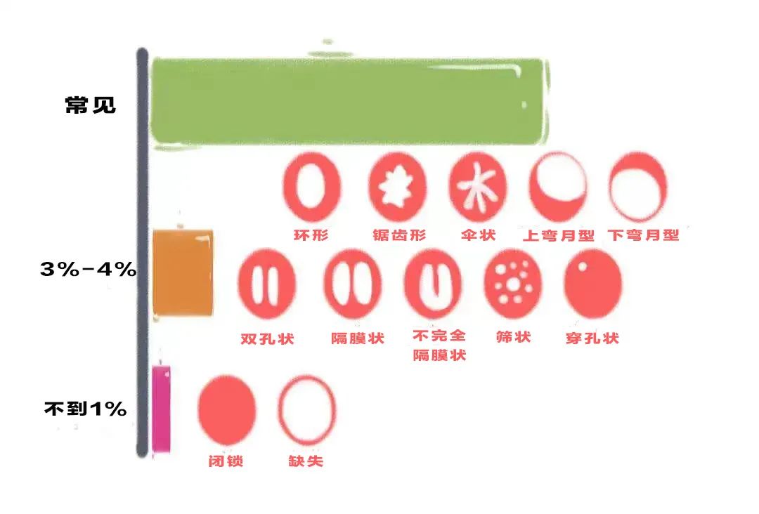 修复处钕膜，科学与伦理的边界探索