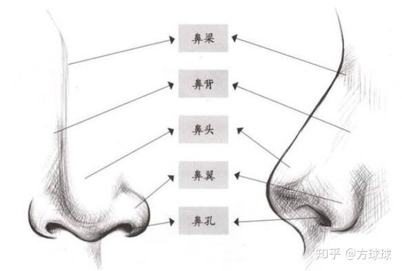 鼻子整形