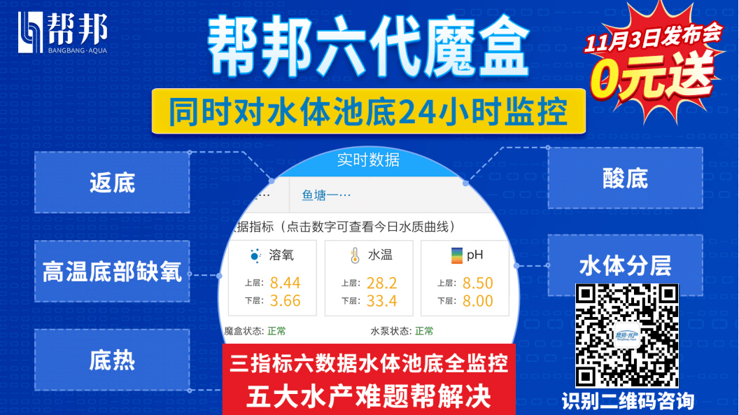 今日竞彩推荐，精准分析，助您赢在起跑线