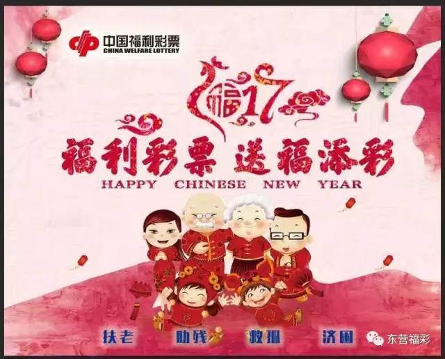 探索中国福利彩票，揭秘结果查询的奥秘