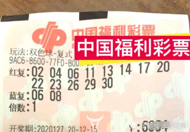 双色球，平民的梦想与现实——揭秘彩票中的真实中奖故事