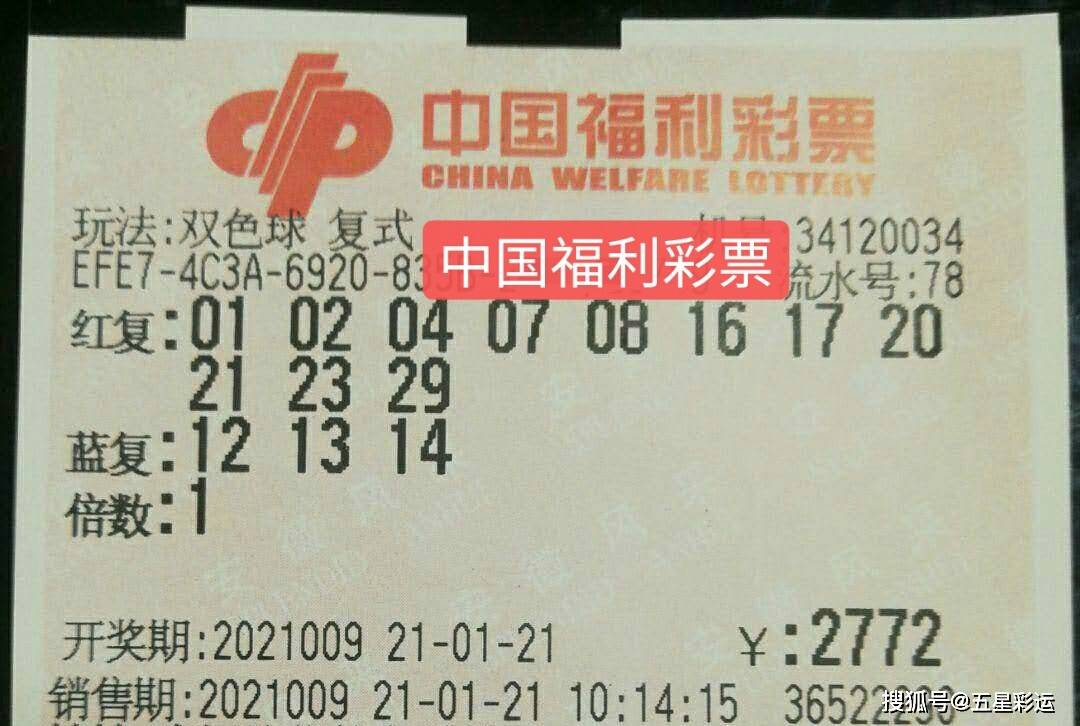浙江双色球，梦想与幸运的交汇点