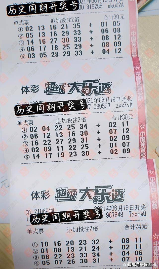 探索中国体彩大乐透，开奖查询的奥秘与乐趣