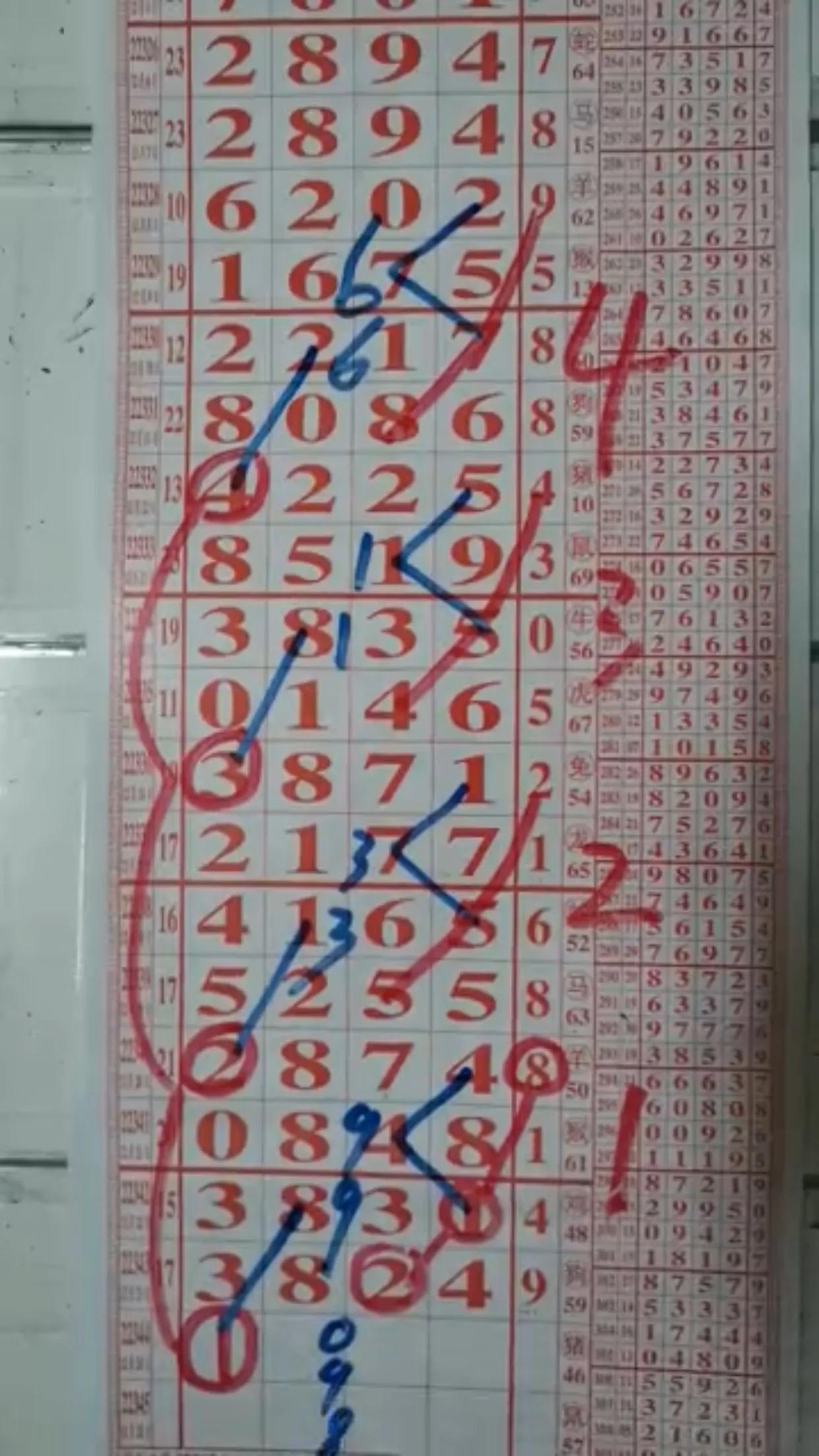 排列三定位号码走势图，解码数字背后的奥秘