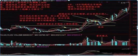 福彩3D，500期开奖结果走势图深度解析