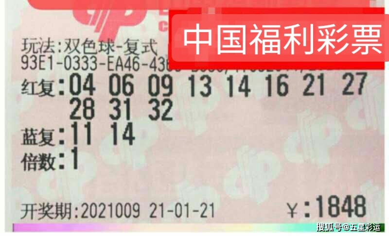探秘双色球100倍一等奖，梦想与现实的碰撞