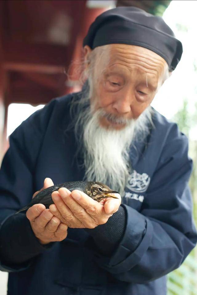 真正老道，字谜的魅力与汇总