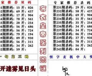 3D字谜总汇，彩圣字谜的魅力与解析