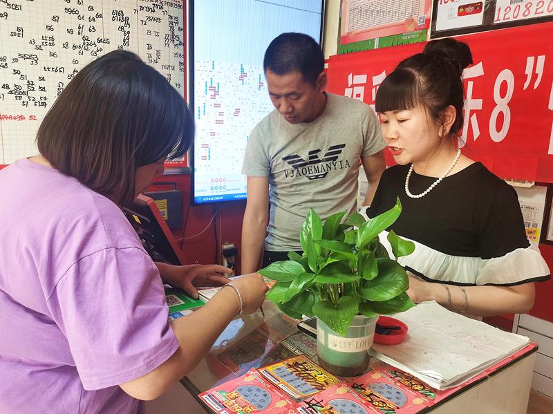 探索新浪双色球擂台赛，彩民的智慧与激情碰撞