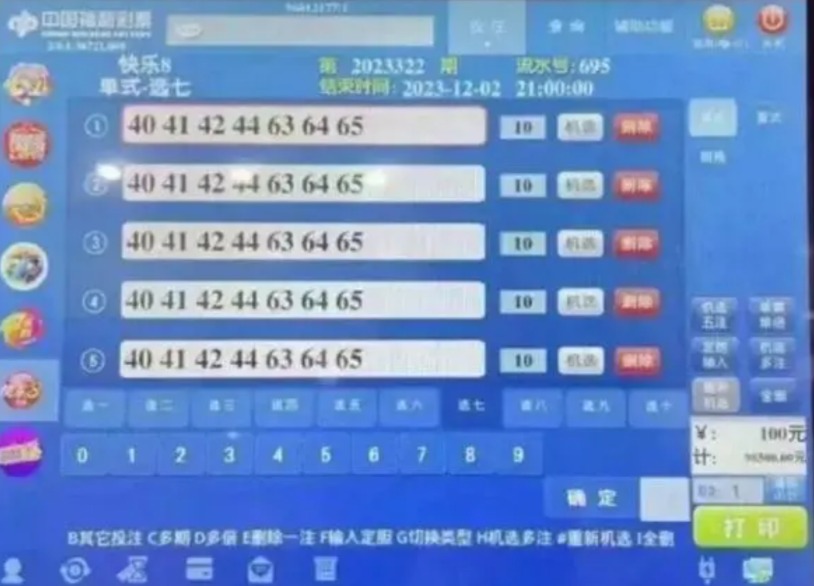 探索中国福利彩票2023133期的神秘数字，揭秘可奖号码的背后故事