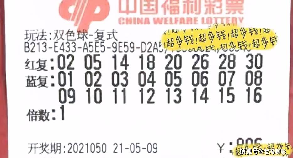 2022年94期开奖结果，揭秘数字背后的幸运与期待