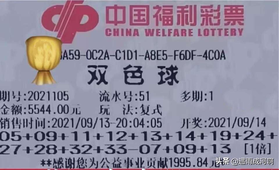 21105期双色球开奖结果揭晓，幸运数字点亮梦想之光