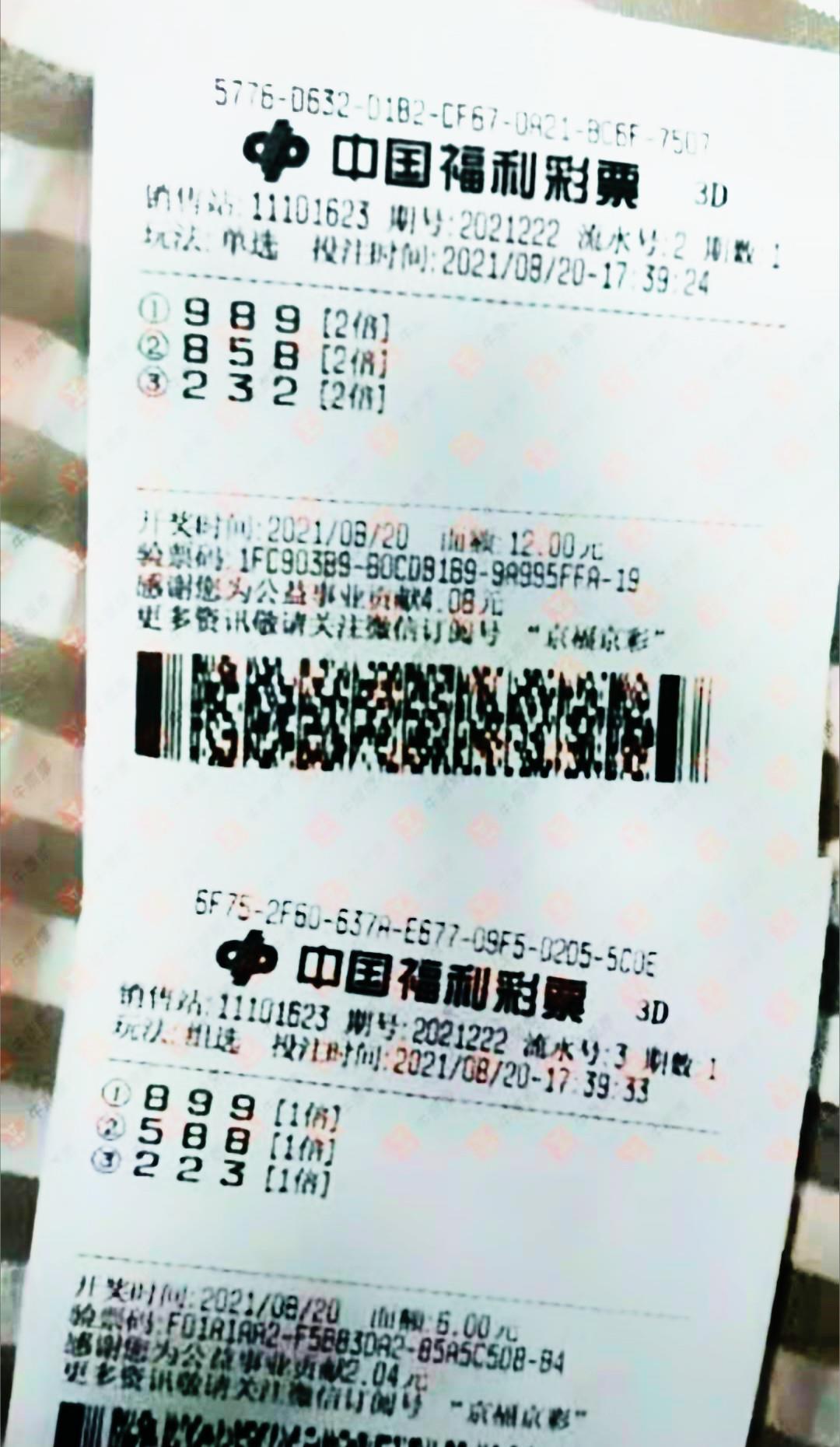 福利彩票2023037期中奖号码揭晓，梦想与幸运的交汇