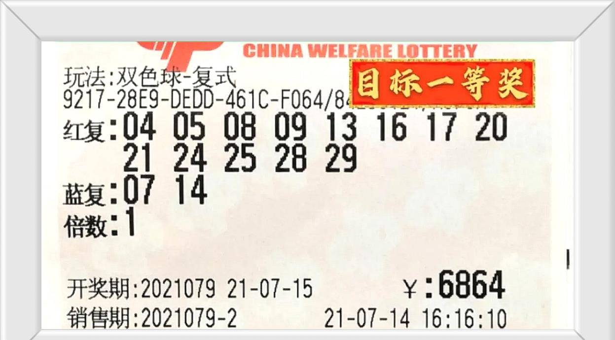 探索双色球第23020期的奇妙之旅，数字背后的幸运与希望