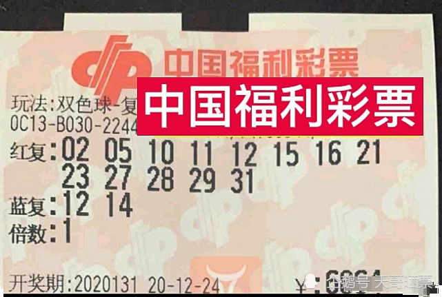 14131期双色球开奖结果揭晓，梦想与幸运的碰撞
