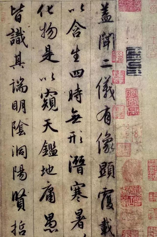 毛尖知识 第48页