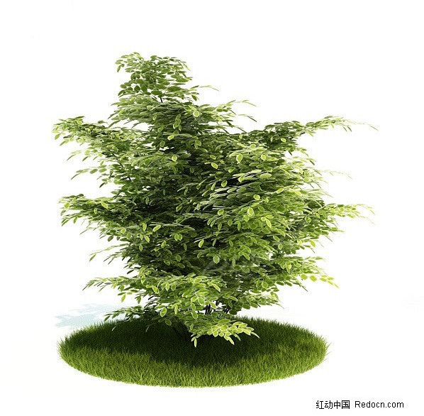 澳门今晚最快现场开奖，揭秘全球瞩目的博彩盛事澳门今晚最快现场开奖88期视频播放下载安装最新版