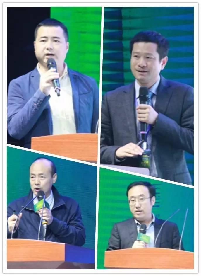 湖南福彩3D论坛，探索数字游戏中的公益与乐趣