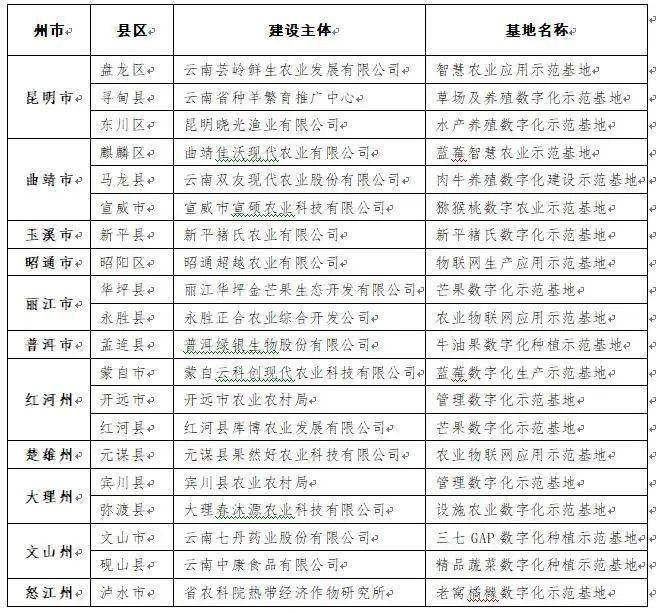 探索开云网页，解锁数字世界的无限可能