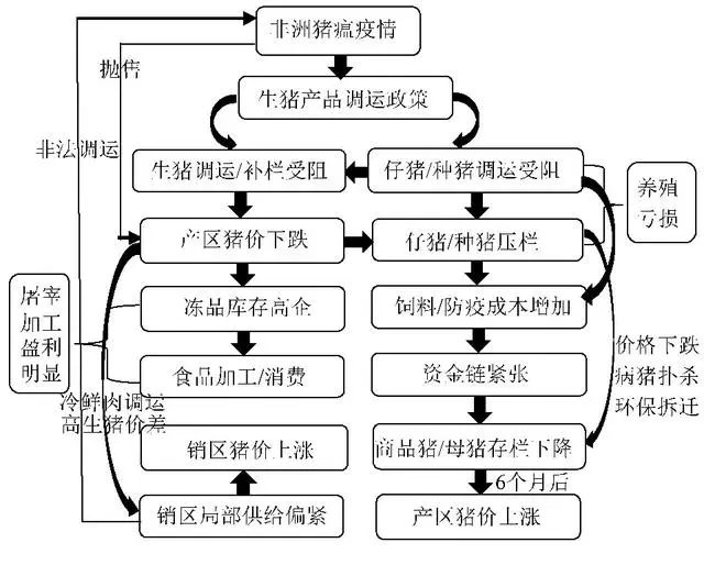 今日生猪价格，市场动态与影响因素深度剖析