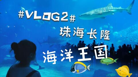 探索双色开奖历史的奇妙之旅
