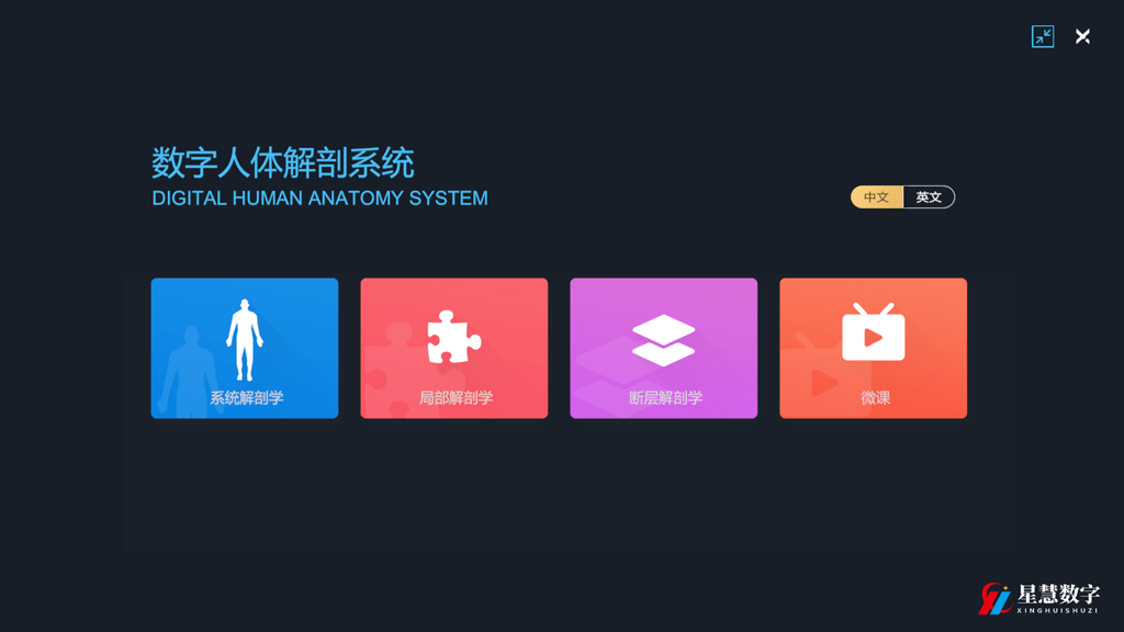 乌龙茶 第30页