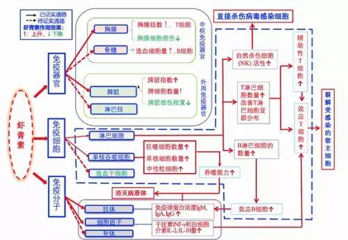 丹东红五布衣综合图库，探索地方文化的独特魅力