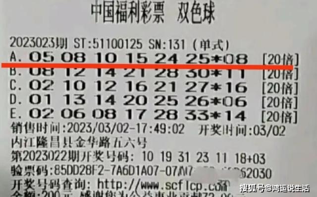 彩票双色球中奖查询，72期回顾与揭秘