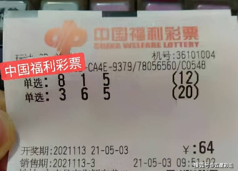 121期3D晒票，梦想与现实的交汇