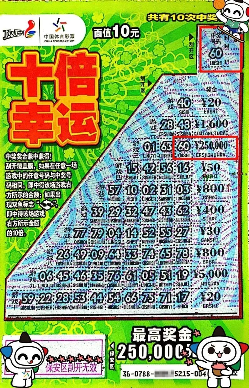 今日福彩3D彩报图库，探索数字背后的幸运与希望