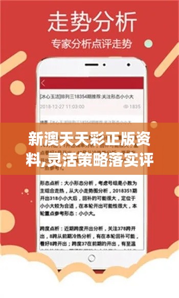探索新澳天天彩，正版免费资料的智慧之旅新澳天天彩正版资料查询官网