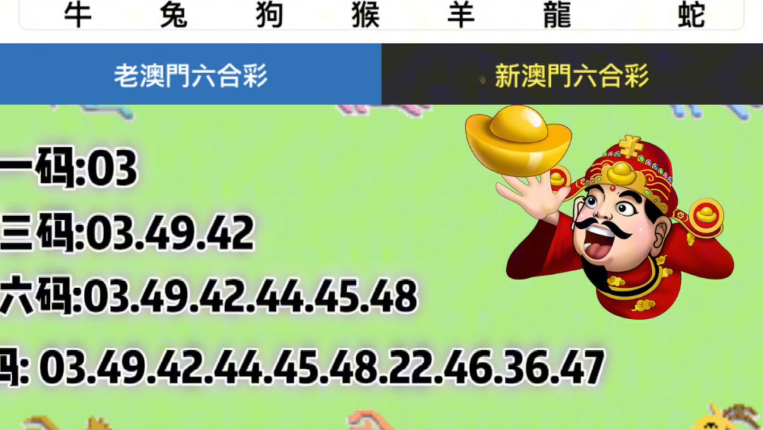揭秘新奥门六开奖结果203，记录图片与价格解析新澳门开奖结果2020+开奖记录_